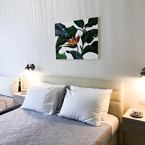 Chambre Standarde Triple